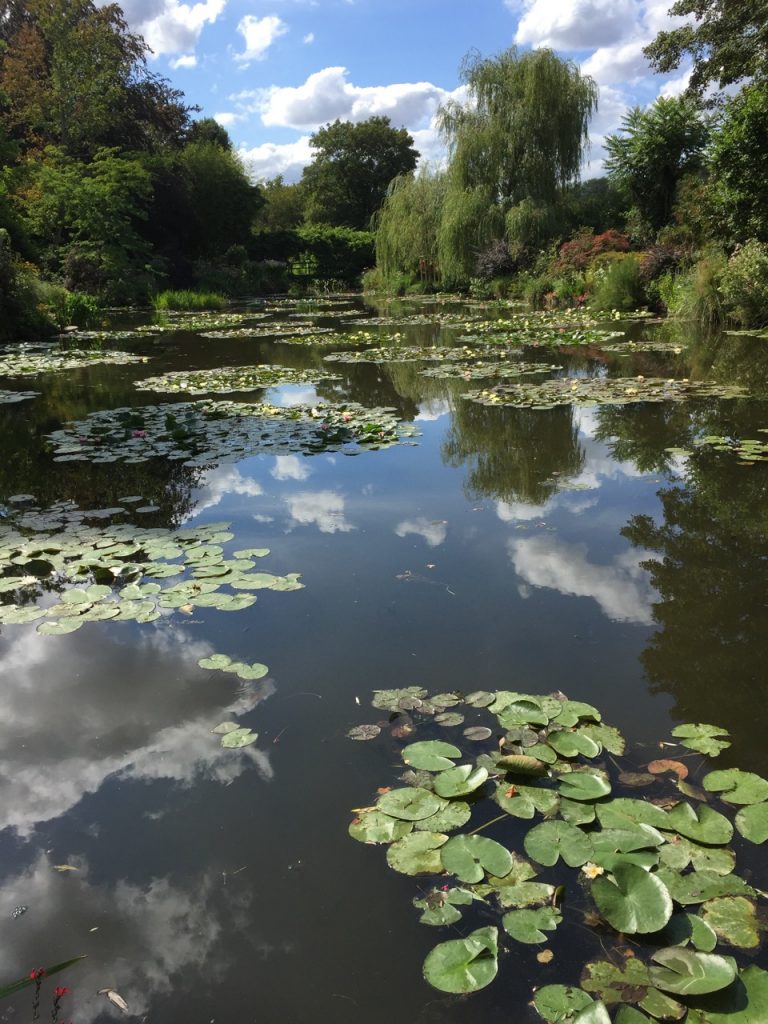 Reflets d’un jardin normand Bassin à nénuphars dans un jardin de location saisonnière en Normandie