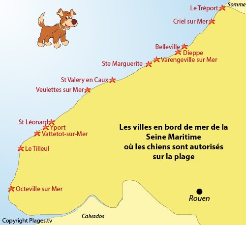 Carte des plages autorisées aux chiens en Seine-Maritime en Normandie
