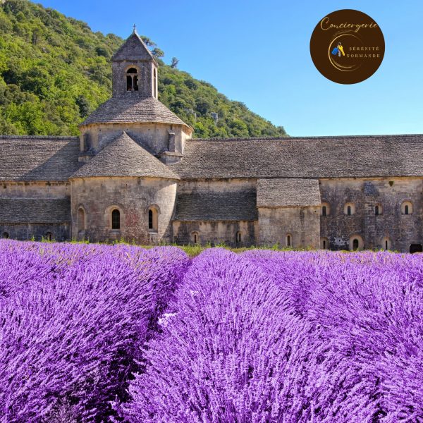1.Abbaye et floraison