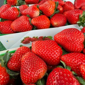 7 Marchés de l&rsquo;Eure Incontournables pour Goûter à la Vraie Normandie