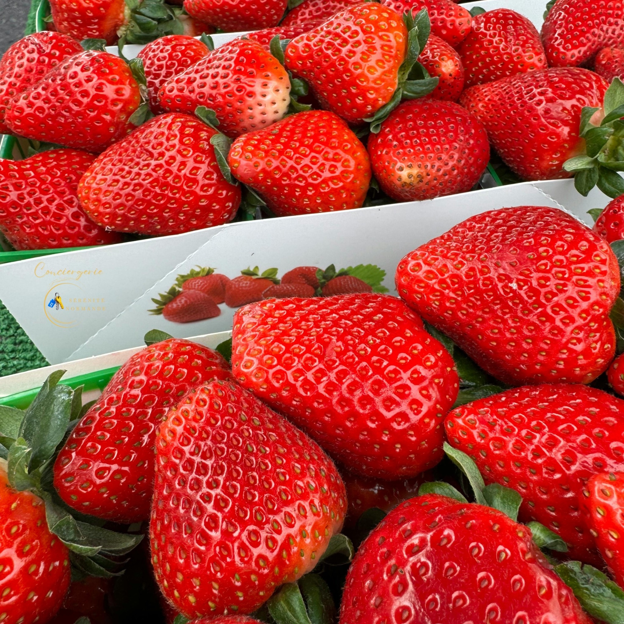 Lire la suite à propos de l’article 7 Marchés de l&rsquo;Eure Incontournables pour Goûter à la Vraie Normandie